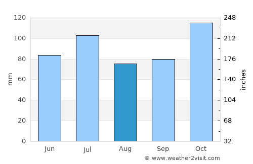 Pau Brasil average rain in August