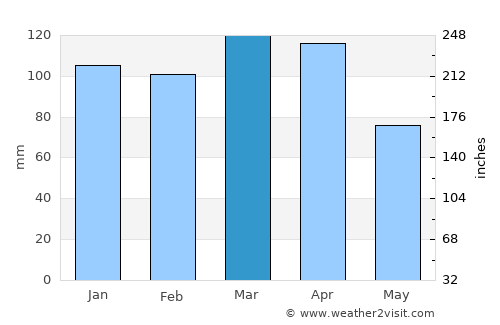 Pau Brasil average rain in March