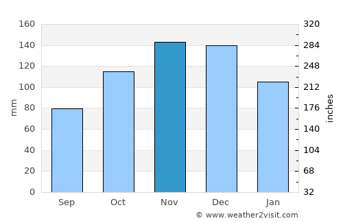 Pau Brasil average rain in November