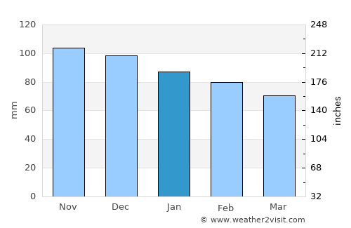 Pau average rain in January