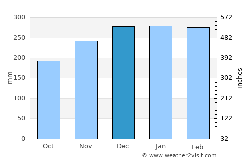 Pauini average rain in December