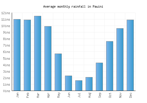 Pauini monthly rainfall chart (inches)