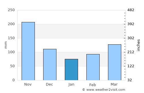 Pauna average rain in January