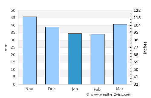 Pazaryolu average rain in January