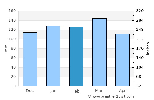 Peachtree City average rain in February