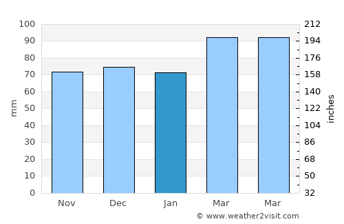 Pearisburg average rain in January