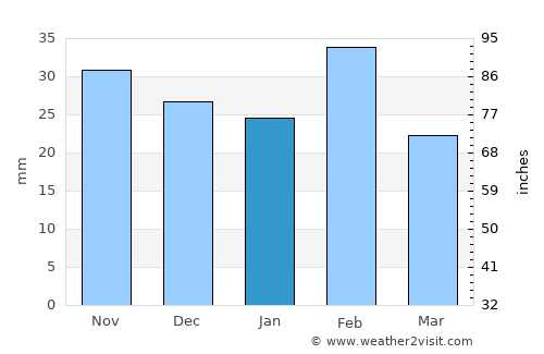 Pearsall average rain in January