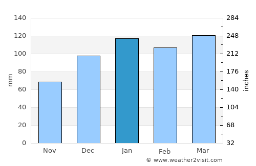 Pearson average rain in January
