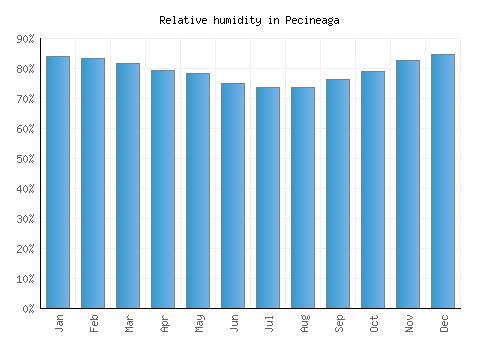 Pecineaga relative humidity averages