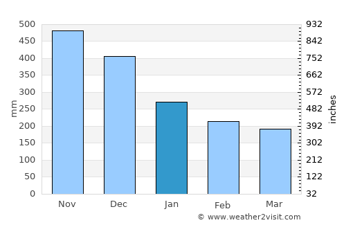 Pejibaye average rain in January