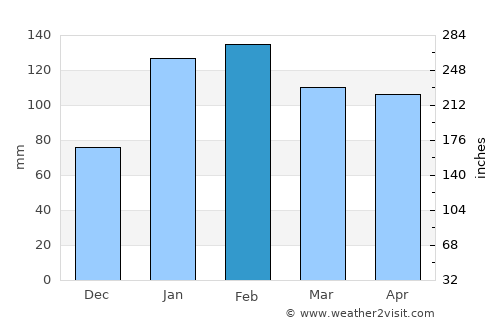 Pelotas average rain in February