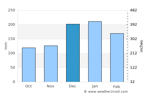 Pereira Barreto average rain in December