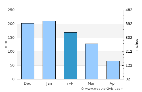 Pereira Barreto average rain in February