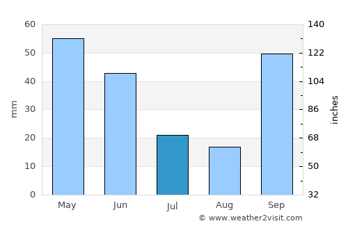 Pereira Barreto average rain in July