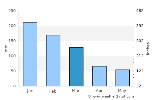 Pereira Barreto average rain in March