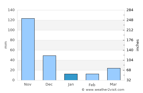 Periyanegamam average rain in January
