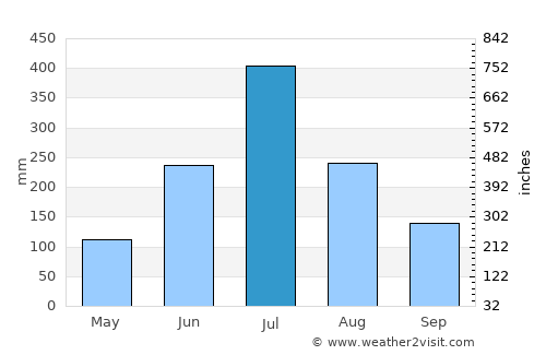 Periyanegamam average rain in July