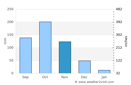 Periyanegamam average rain in November