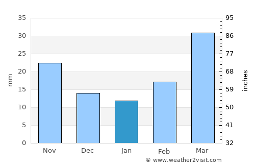 Perryton average rain in January