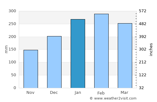 Peruíbe average rain in January