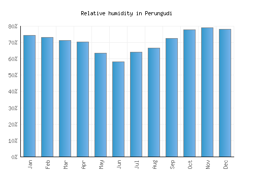 Perungudi relative humidity averages