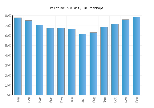Peshkopi relative humidity averages