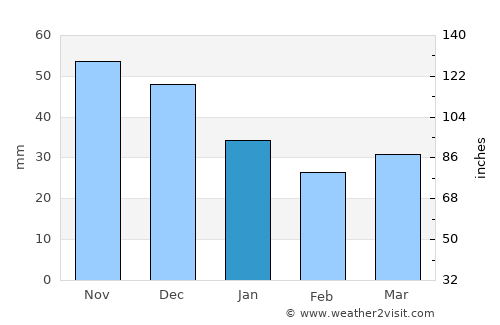 Pestovo average rain in January