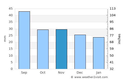 Petricani average rain in November