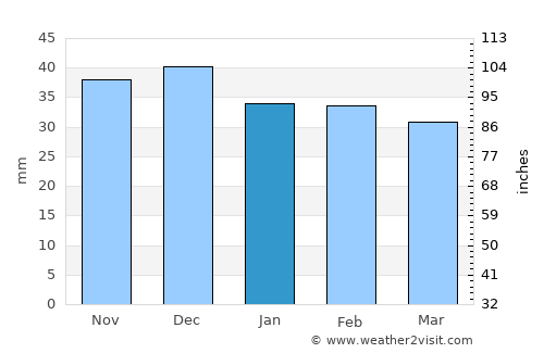 Petrikov average rain in January