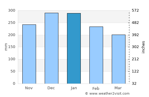 Petrolina de Goiás average rain in January