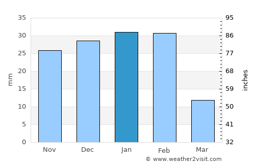 Pharr average rain in January