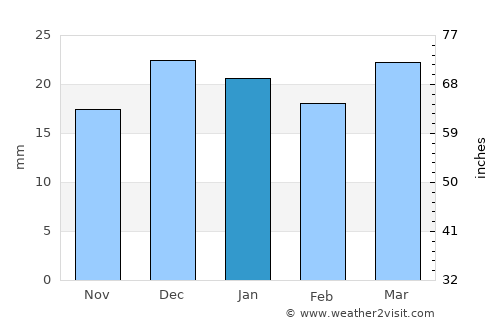 Phoenix average rain in January