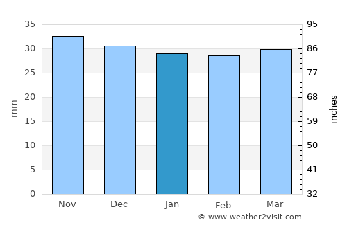 Piatra Neamţ average rain in January