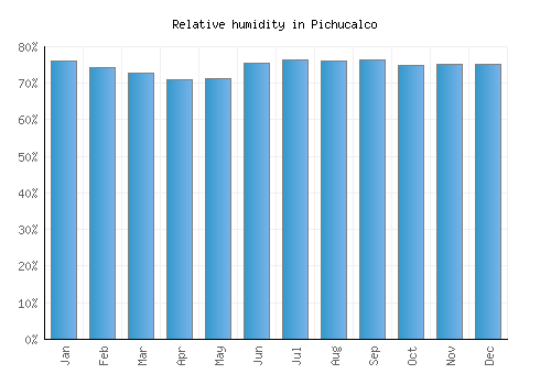 Pichucalco relative humidity averages