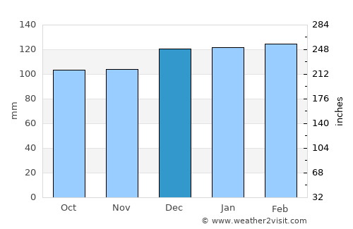 Pickens average rain in December