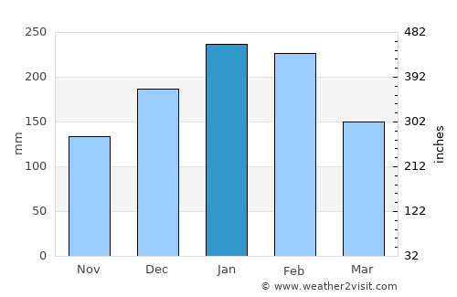 Pindorama average rain in January
