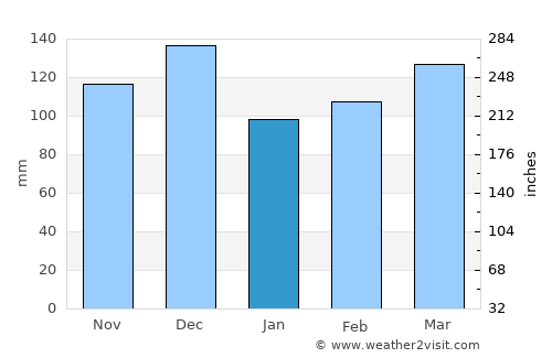 Pine Bluff average rain in January