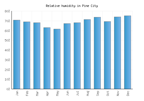 Pine City relative humidity averages