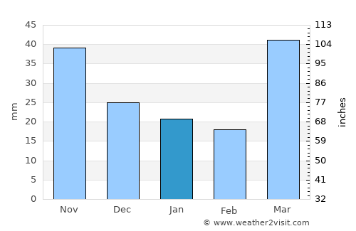Pine City average rain in January