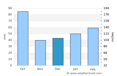 Pine Island Center average rain in December