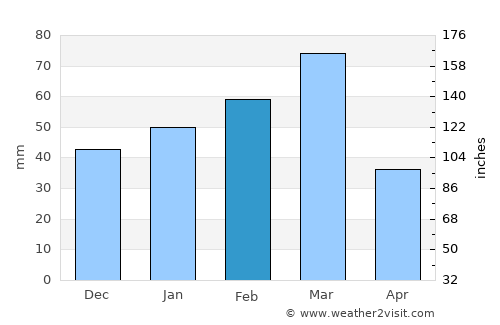 Pine Island Center average rain in February