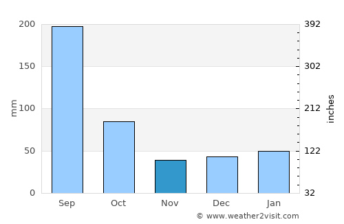 Pine Island Center average rain in November