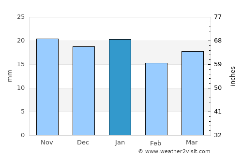 Pinedale average rain in January