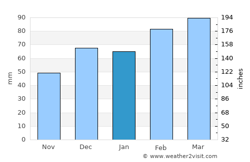 Pinellas Park average rain in January