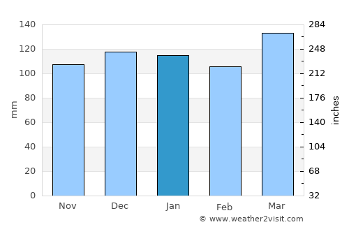 Pineville average rain in January