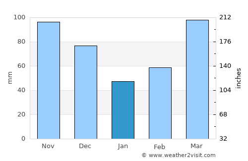 Pineville average rain in January
