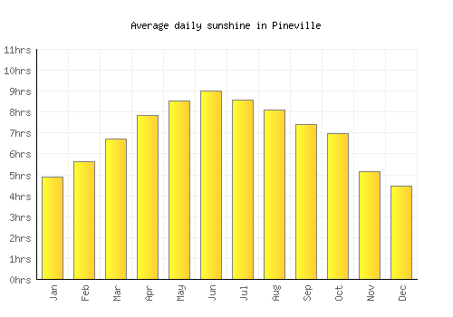 Pineville average daily sunshine chart