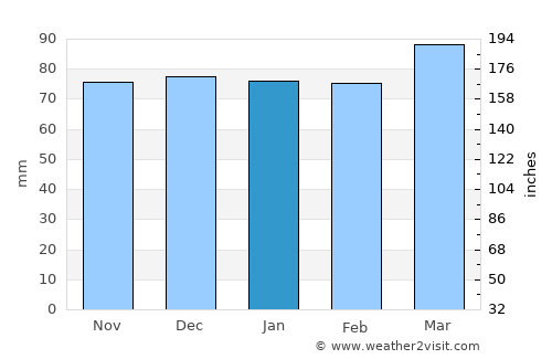 Pineville average rain in January