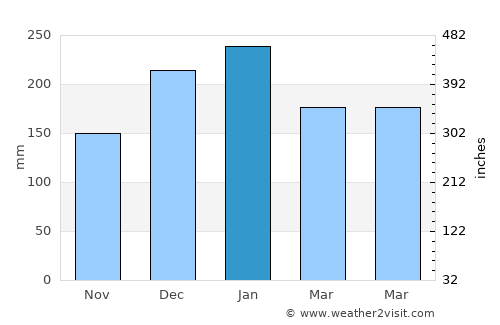 Pinheiral average rain in January