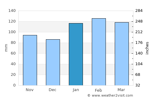 Pinheiro Machado average rain in January
